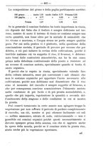 giornale/TO00181640/1906/V.1/00000407