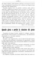 giornale/TO00181640/1906/V.1/00000409