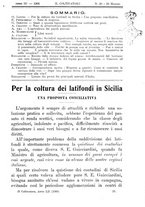 giornale/TO00181640/1906/V.1/00000613