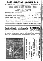giornale/TO00181640/1906/V.1/00000852
