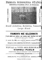 giornale/TO00181640/1906/V.1/00000864