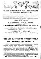 giornale/TO00181640/1906/V.1/00000878