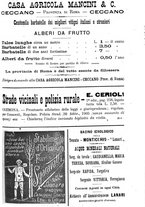 giornale/TO00181640/1906/V.1/00000881