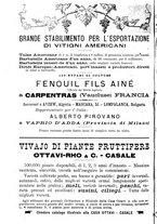 giornale/TO00181640/1906/V.1/00000910