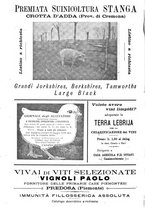 giornale/TO00181640/1906/V.1/00000912