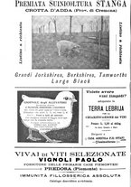 giornale/TO00181640/1906/V.1/00000944