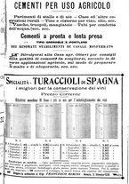 giornale/TO00181640/1906/V.1/00000975