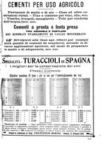 giornale/TO00181640/1906/V.1/00000991