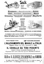 giornale/TO00181640/1906/V.1/00001210