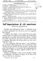 giornale/TO00181640/1906/V.2/00000133