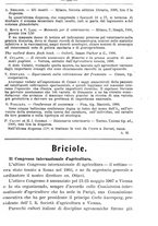 giornale/TO00181640/1906/V.2/00000313