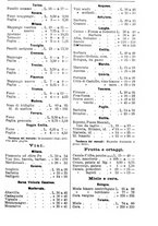 giornale/TO00181640/1906/V.2/00000323