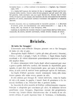 giornale/TO00181640/1906/V.2/00000408