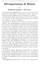 giornale/TO00181640/1906/V.2/00000431