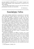 giornale/TO00181640/1906/V.2/00000525