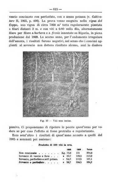 Il coltivatore giornale di agricoltura pratica