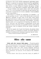 giornale/TO00181640/1906/V.2/00000720