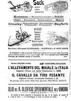 giornale/TO00181640/1906/V.2/00000970