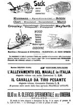 giornale/TO00181640/1906/V.2/00001018