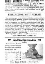 giornale/TO00181640/1906/V.2/00001026