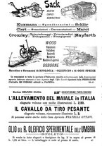 giornale/TO00181640/1906/V.2/00001100