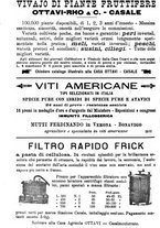 giornale/TO00181640/1906/V.2/00001134