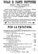 giornale/TO00181640/1906/V.2/00001166