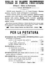 giornale/TO00181640/1906/V.2/00001182