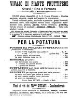 giornale/TO00181640/1906/V.2/00001198