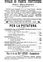 giornale/TO00181640/1906/V.2/00001214