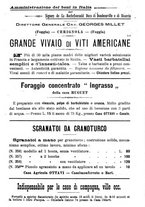 giornale/TO00181640/1906/V.2/00001219