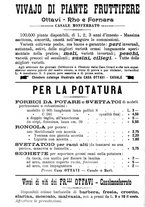 giornale/TO00181640/1906/V.2/00001246