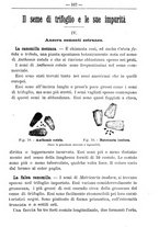 giornale/TO00181640/1907/V.1/00000171