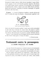 giornale/TO00181640/1907/V.1/00000210