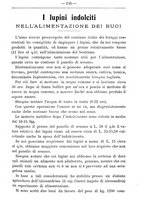 giornale/TO00181640/1907/V.1/00000239