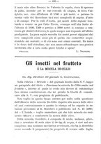 giornale/TO00181640/1907/V.1/00000404