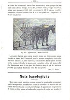 giornale/TO00181640/1907/V.1/00000595