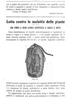 giornale/TO00181640/1907/V.1/00000627