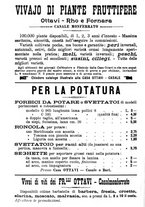 giornale/TO00181640/1907/V.1/00000878