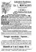 giornale/TO00181640/1907/V.1/00001027
