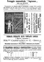 giornale/TO00181640/1907/V.1/00001141