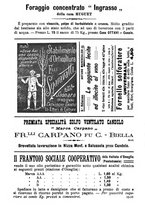 giornale/TO00181640/1907/V.1/00001239