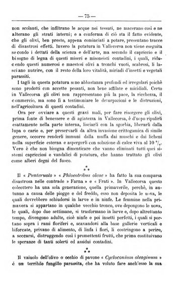 Il coltivatore giornale di agricoltura pratica