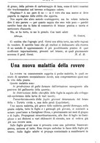 giornale/TO00181640/1908/V.2/00000375