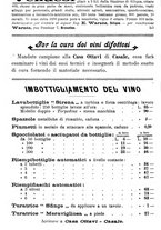 giornale/TO00181640/1908/V.2/00001106