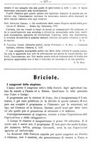 giornale/TO00181640/1909/V.2/00000121