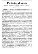 giornale/TO00181640/1909/V.2/00000577