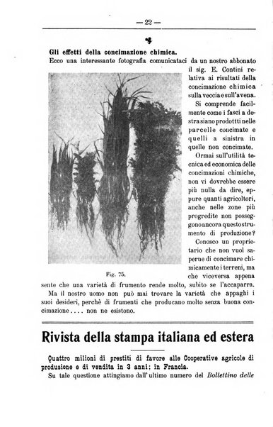 Il coltivatore giornale di agricoltura pratica