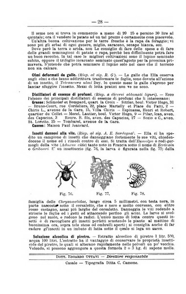 Il coltivatore giornale di agricoltura pratica