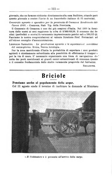 Il coltivatore giornale di agricoltura pratica